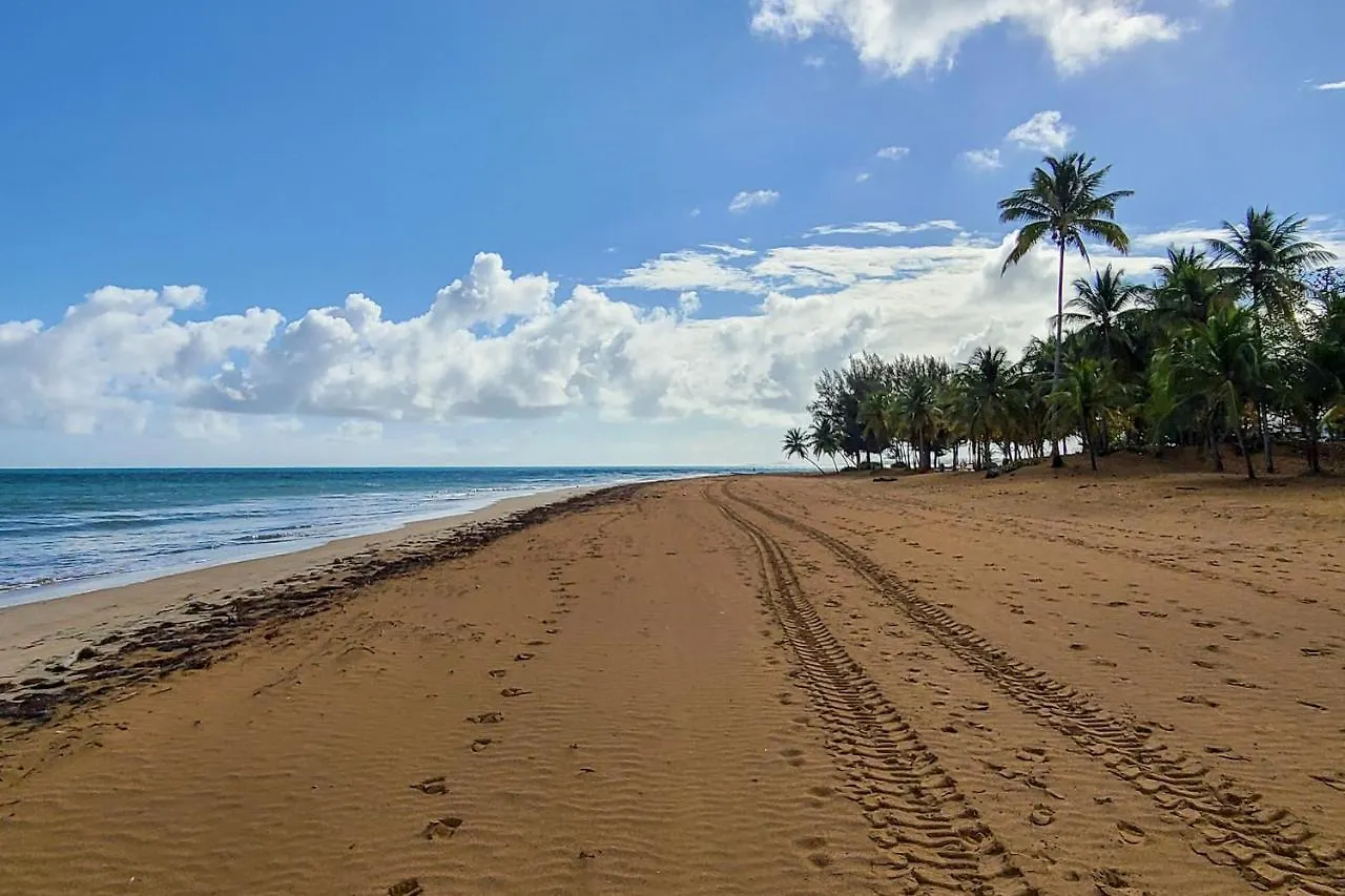 Coastal Puerto Rican Apartment - Walk To Beach! Rio Grande Porto Riko