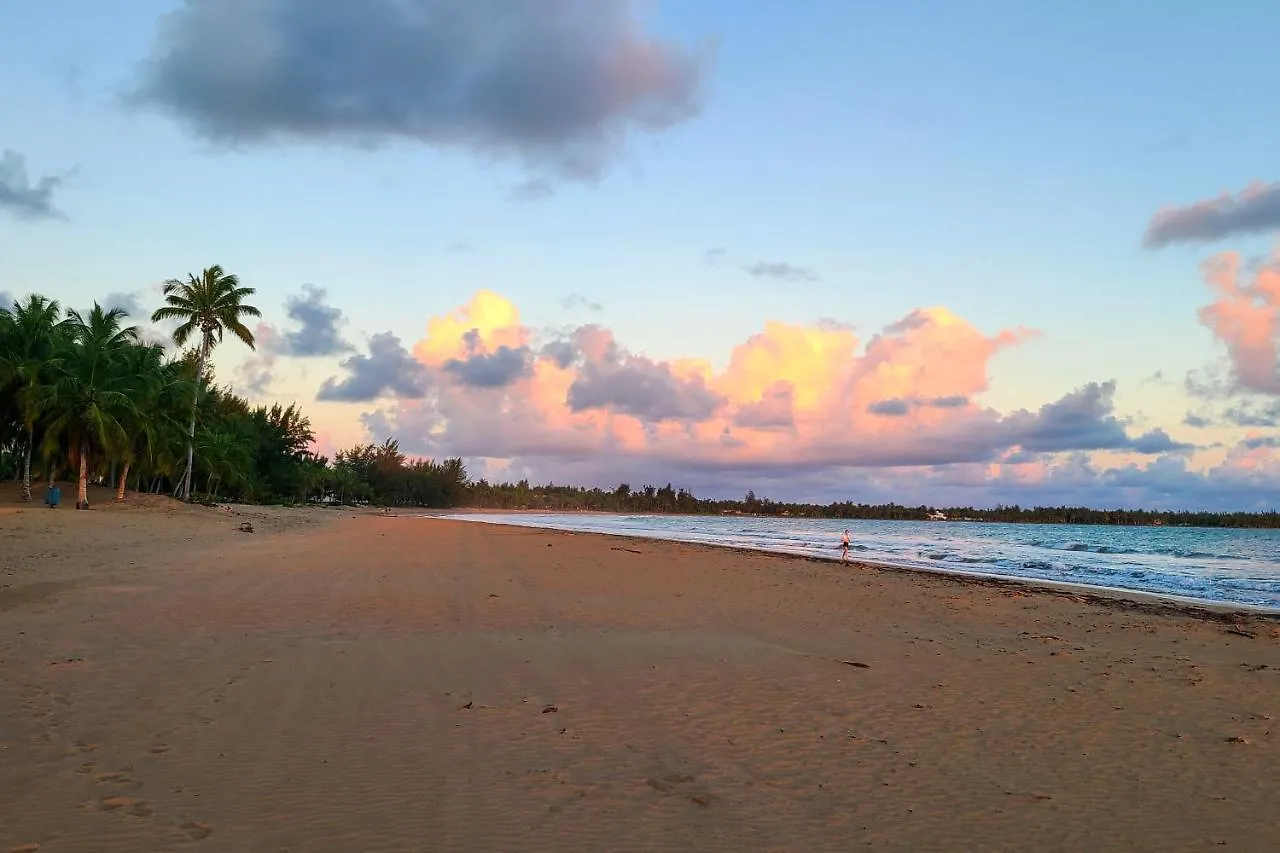 Coastal Puerto Rican Apartment - Walk To Beach! Rio Grande