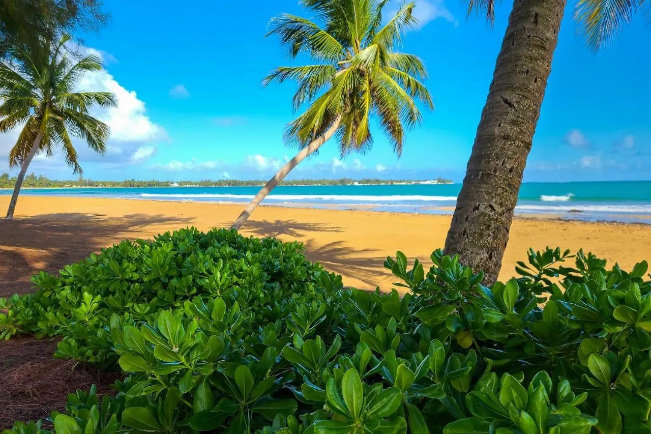Coastal Puerto Rican Apartment - Walk To Beach! Rio Grande