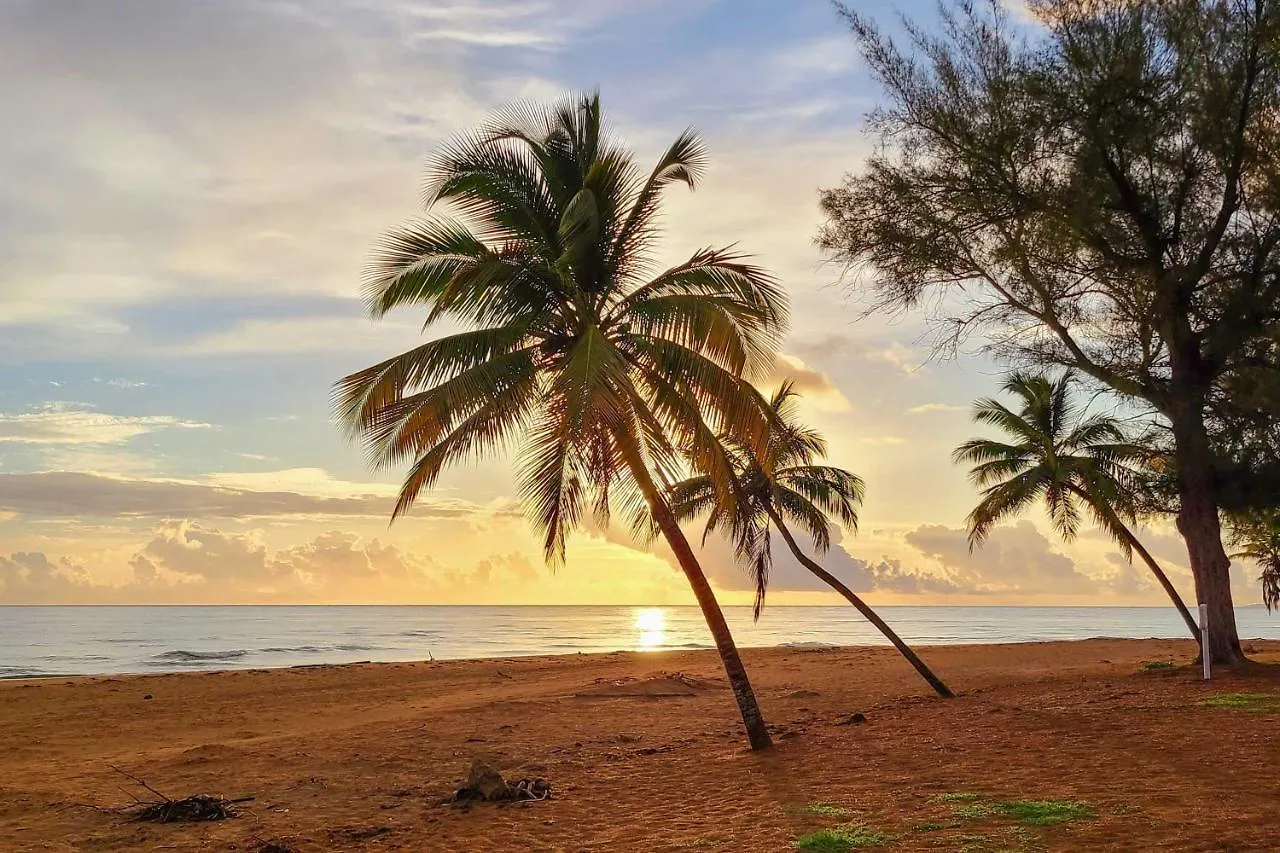 Coastal Puerto Rican Apartment - Walk To Beach! Rio Grande