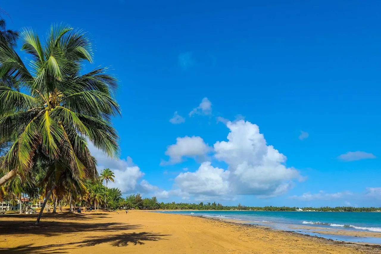 Coastal Puerto Rican Apartment - Walk To Beach! Rio Grande