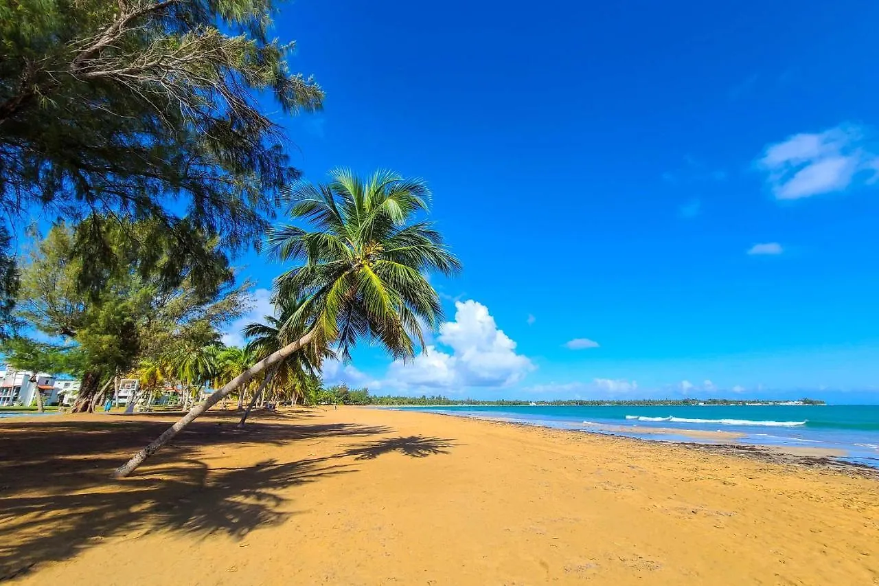 ריו גראנדה Coastal Puerto Rican Apartment - Walk To Beach!