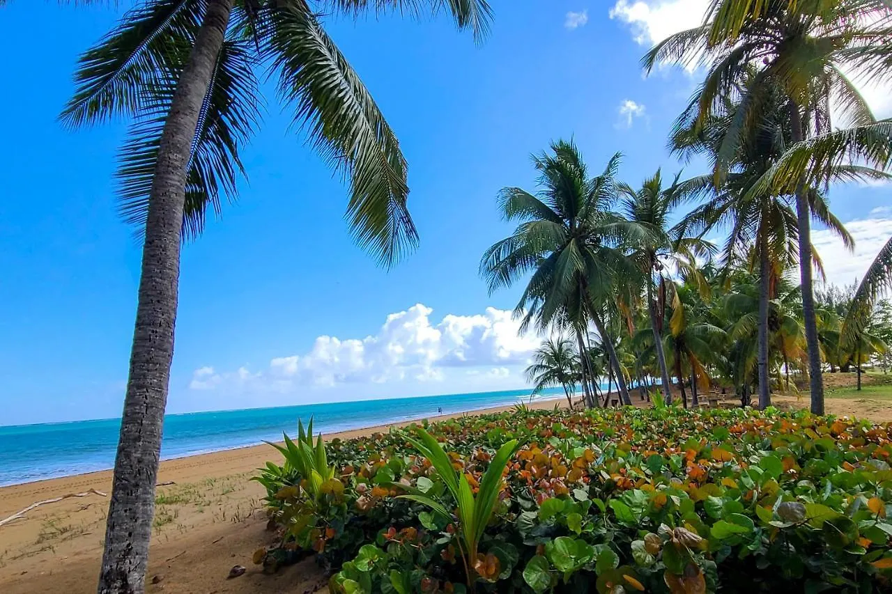 ריו גראנדה Coastal Puerto Rican Apartment - Walk To Beach!